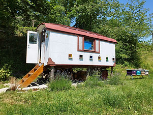 IMG_20220626_124350_edited.jpg